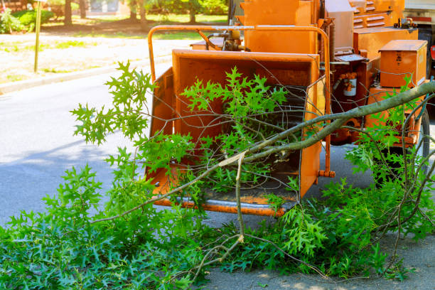 Grass Overseeding in Caruthers, CA